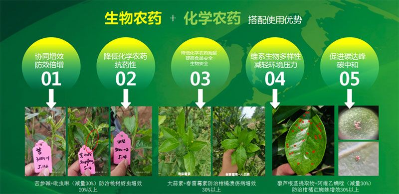 新朝陽在第六屆中國(guó)農(nóng)藥行業(yè)市場(chǎng)和銷售高峰論壇做“生物農(nóng)藥+化學(xué)農(nóng)藥，引領(lǐng)植保市場(chǎng)未來”主題報(bào)告